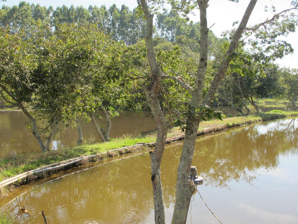 Arte De Minas Hotell Sao Goncalo do Sapucai Exteriör bild